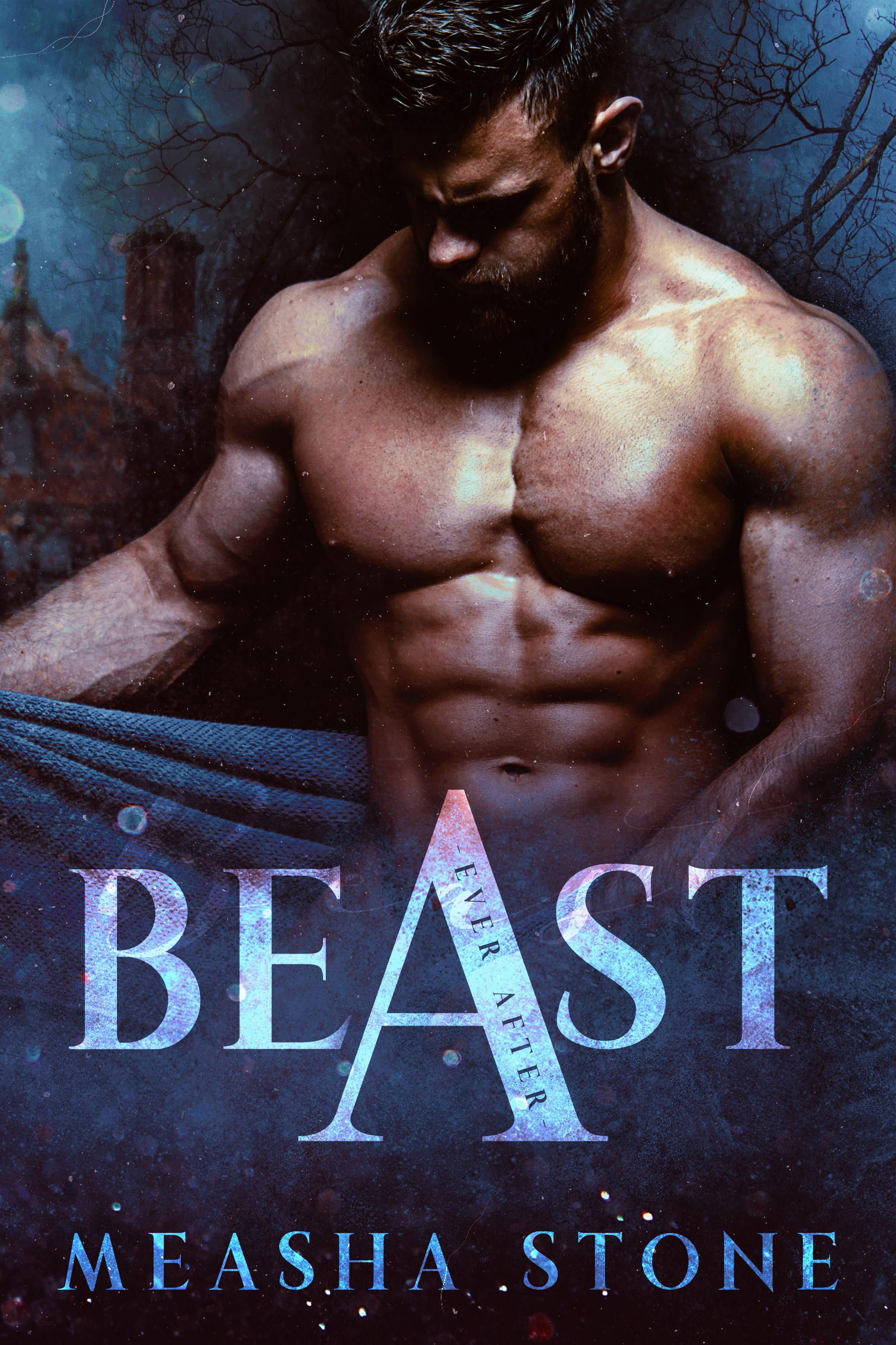 Ever After book cover 1