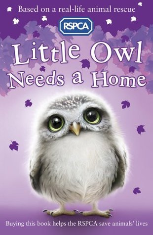 Little Owl Needs a Home book cover