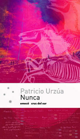 Nunca book cover