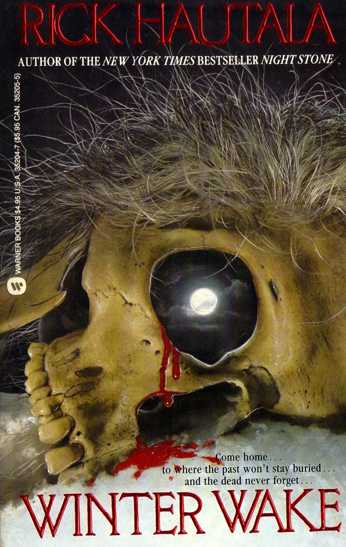 Winter Wake book cover