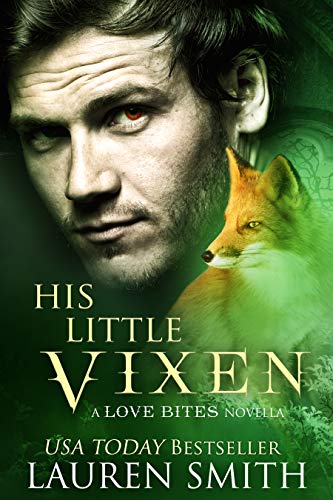 His Little Vixen book cover