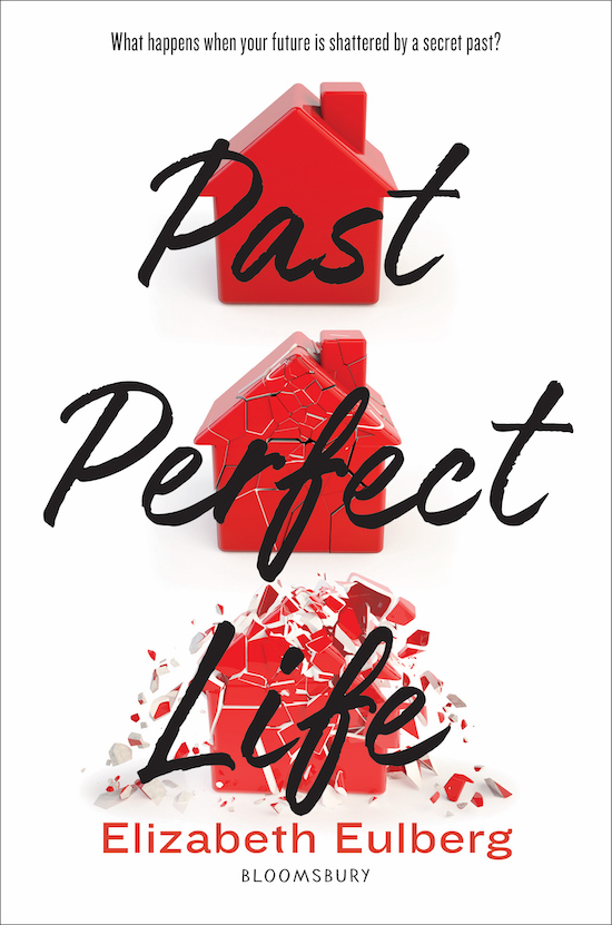Past Perfect Life book cover