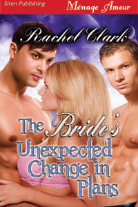 The Bride's Unexpected Change in Plans book cover
