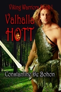 Viking Warriors book cover 2