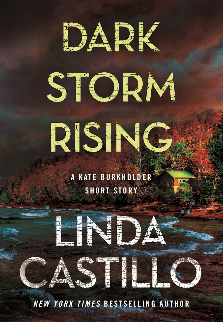 Dark Storm Rising book cover