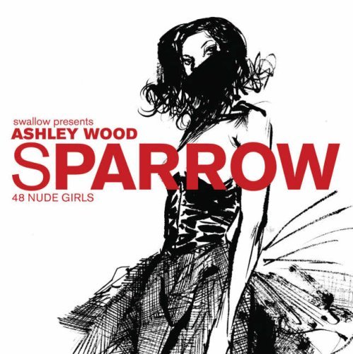 Ashley Wood Nudes book cover 1