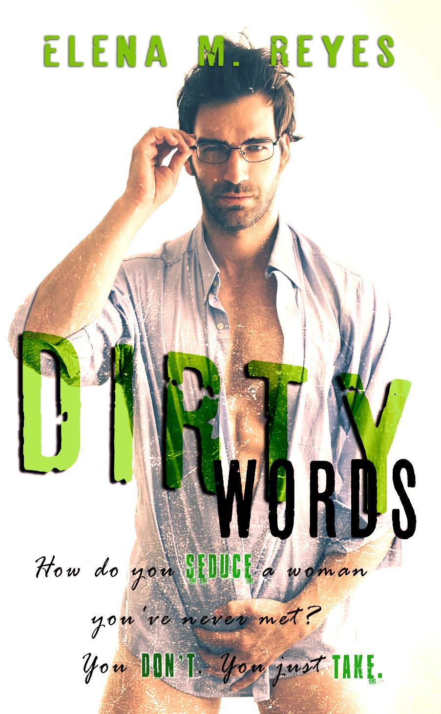 Dirty Words book cover