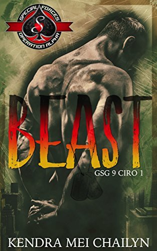 GSG 9 - CIRO book cover 1