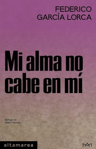Mi alma no cabe en mí book cover