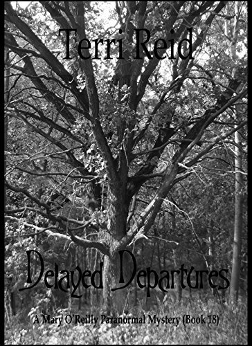 Delayed Departures book cover