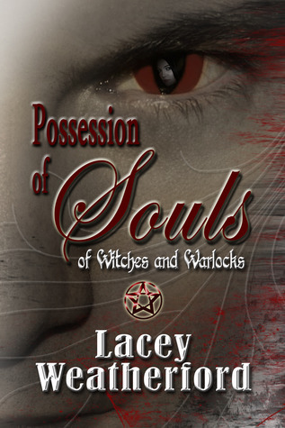 Possession of Souls book cover