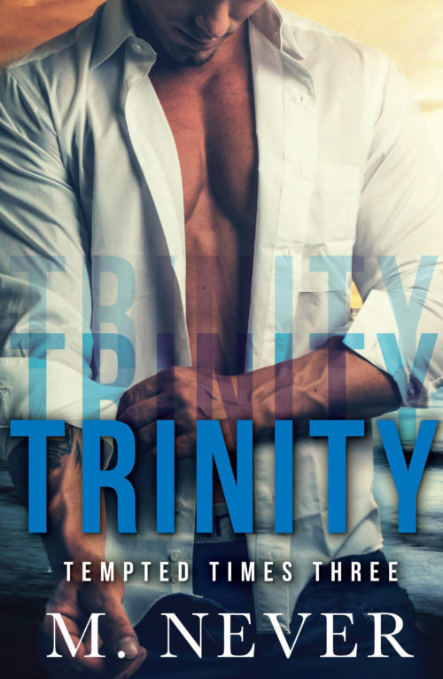 Trinity book cover
