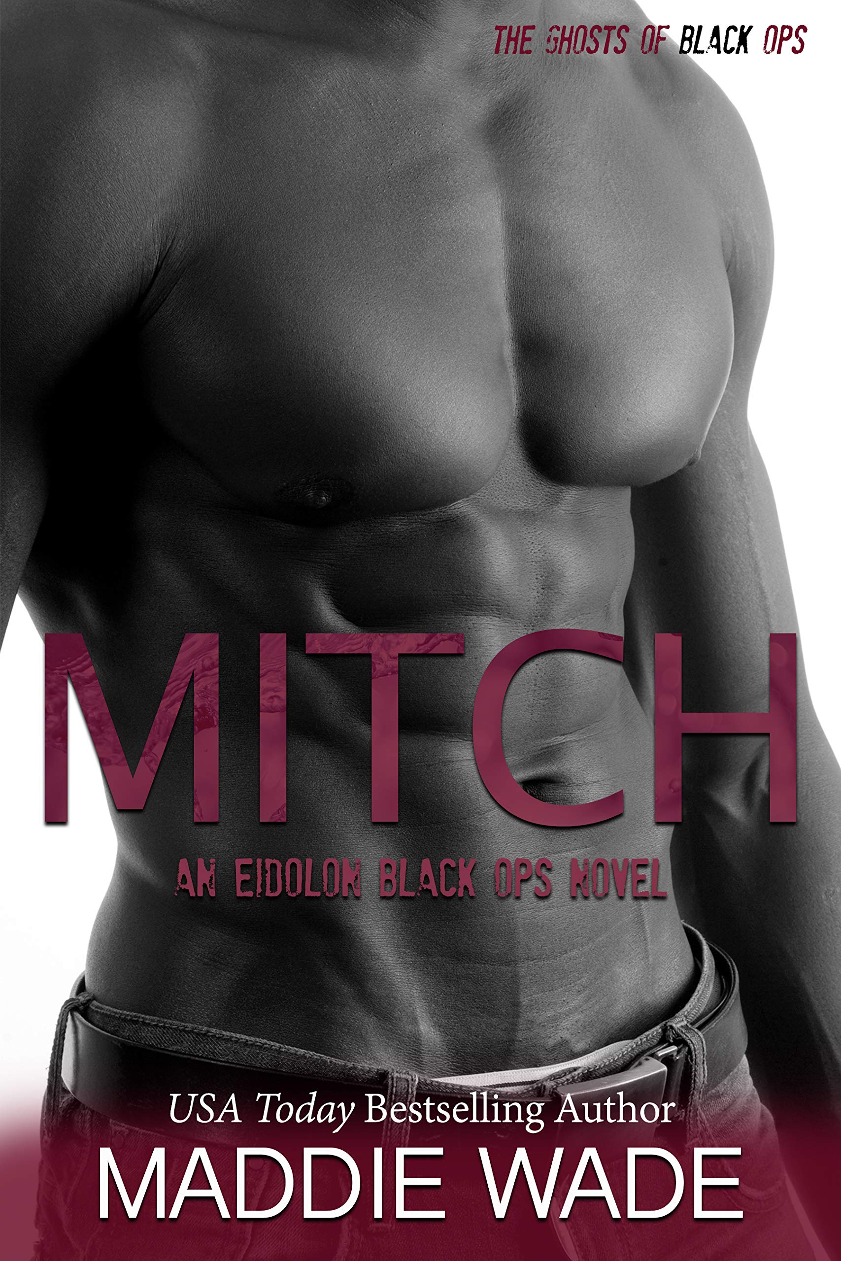 Mitch book cover