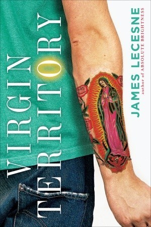 Virgin Territory book cover