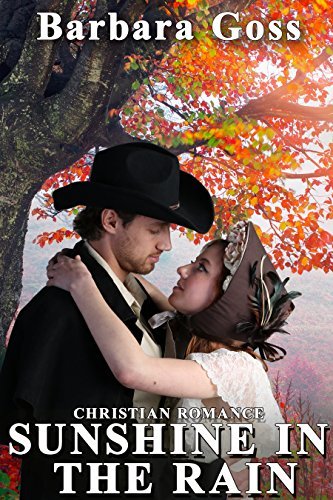 Sunshine in the Rain book cover