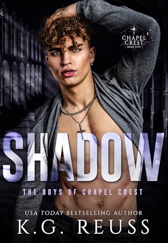 Shadow book cover