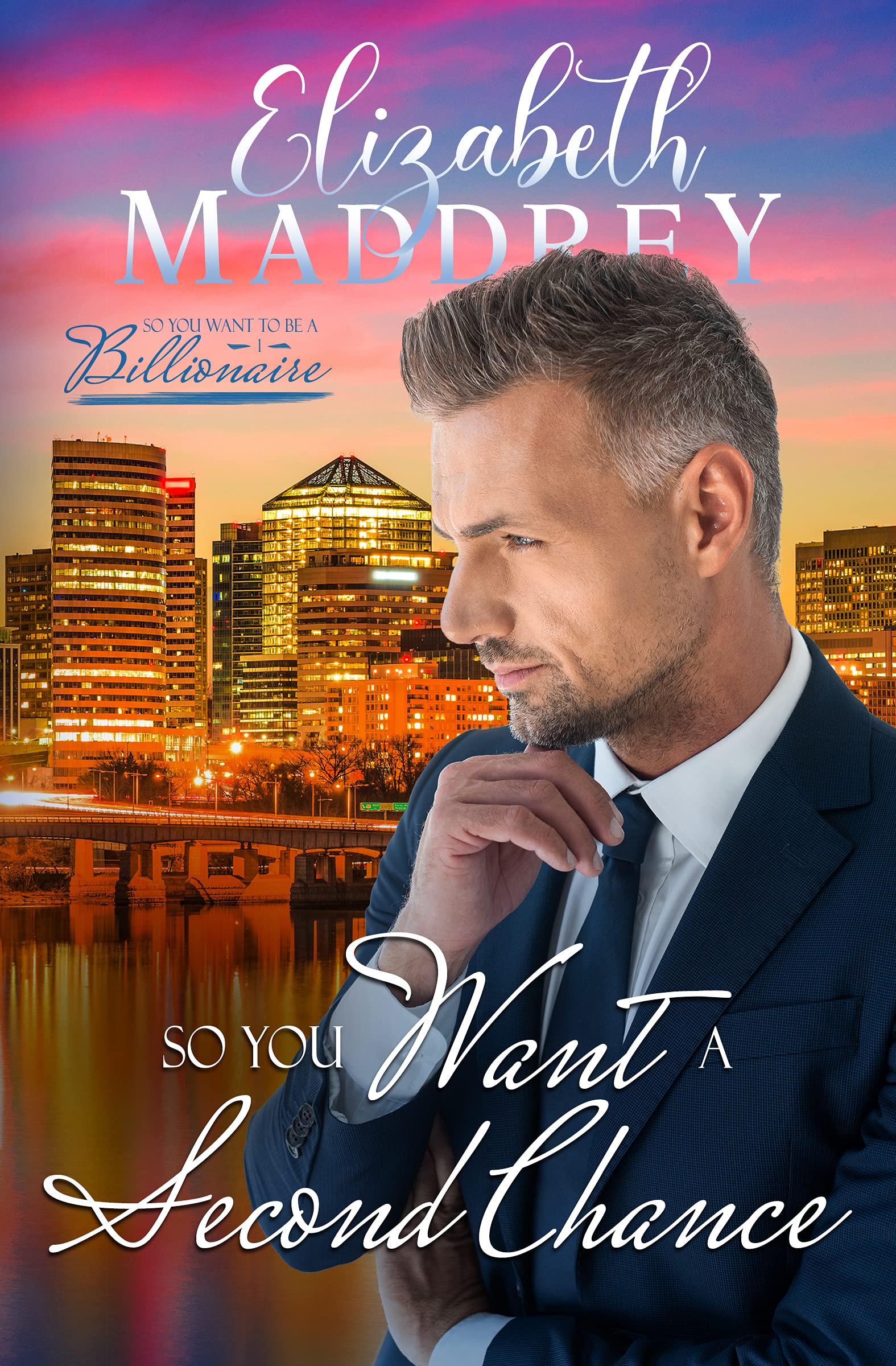 So You Want to be a Billionaire book cover 1