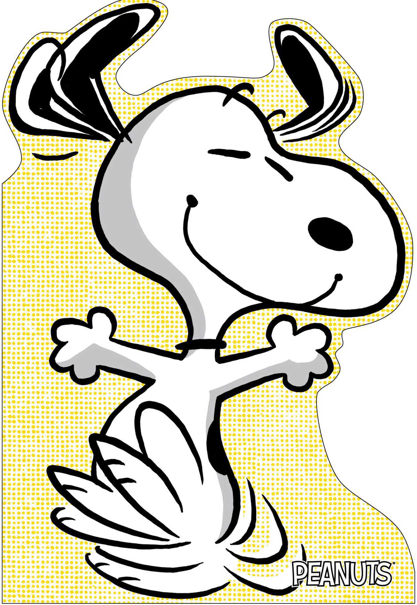 A Best Friend for Snoopy book cover