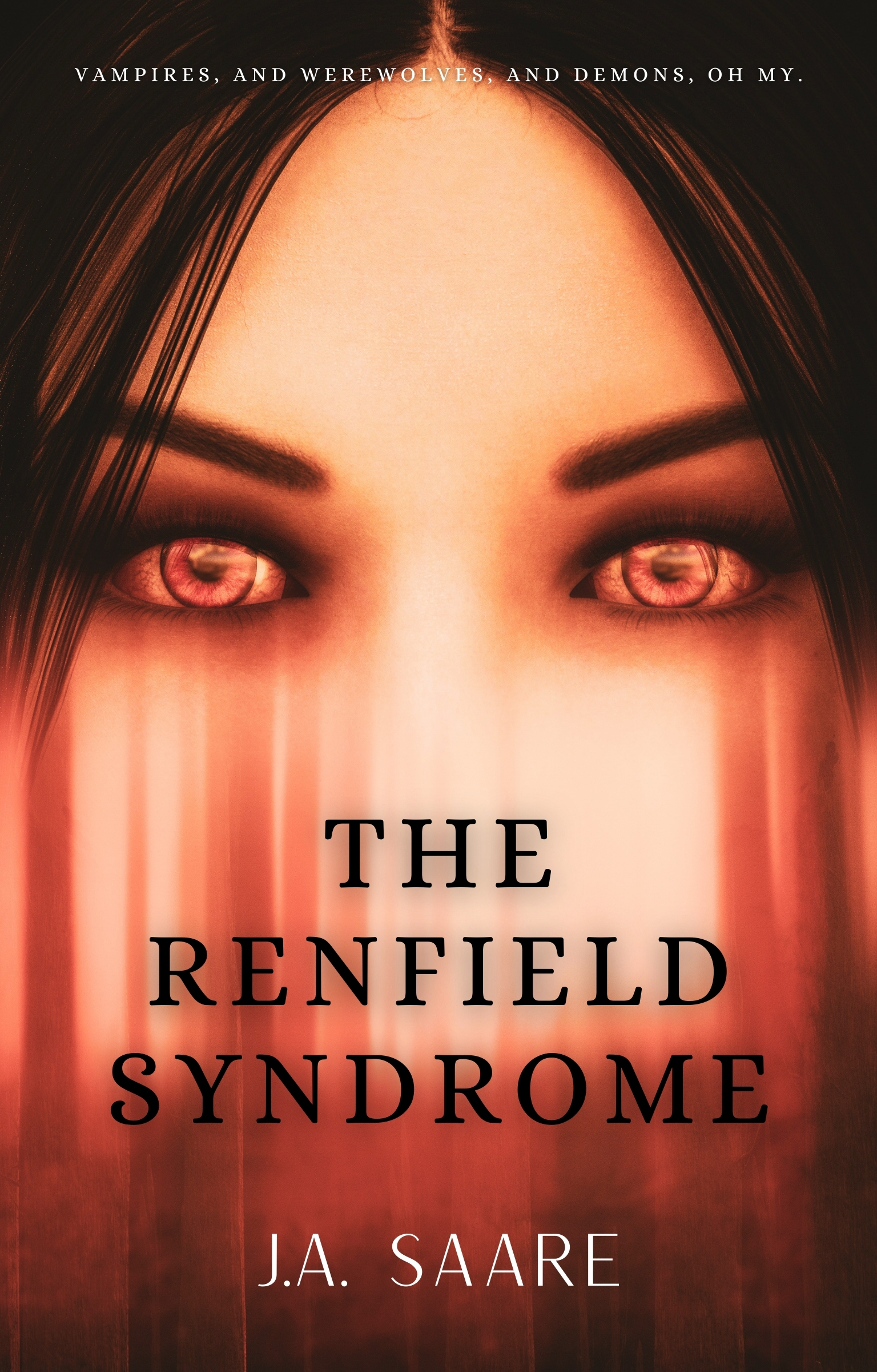 Rhiannon's Law book cover 2