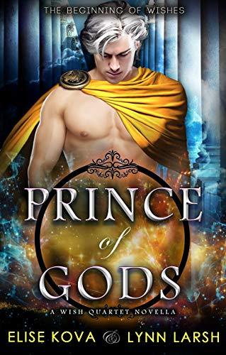 Prince of Gods book cover