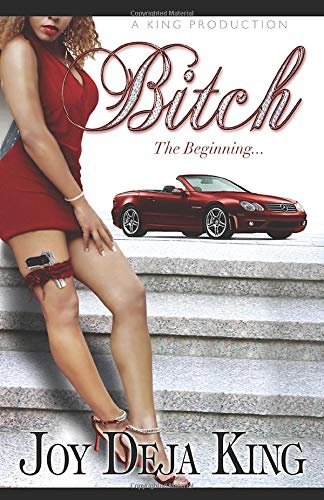 Bitch The Beginning book cover