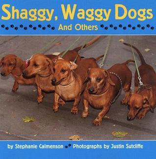 Shaggy, Waggy Dogs book cover