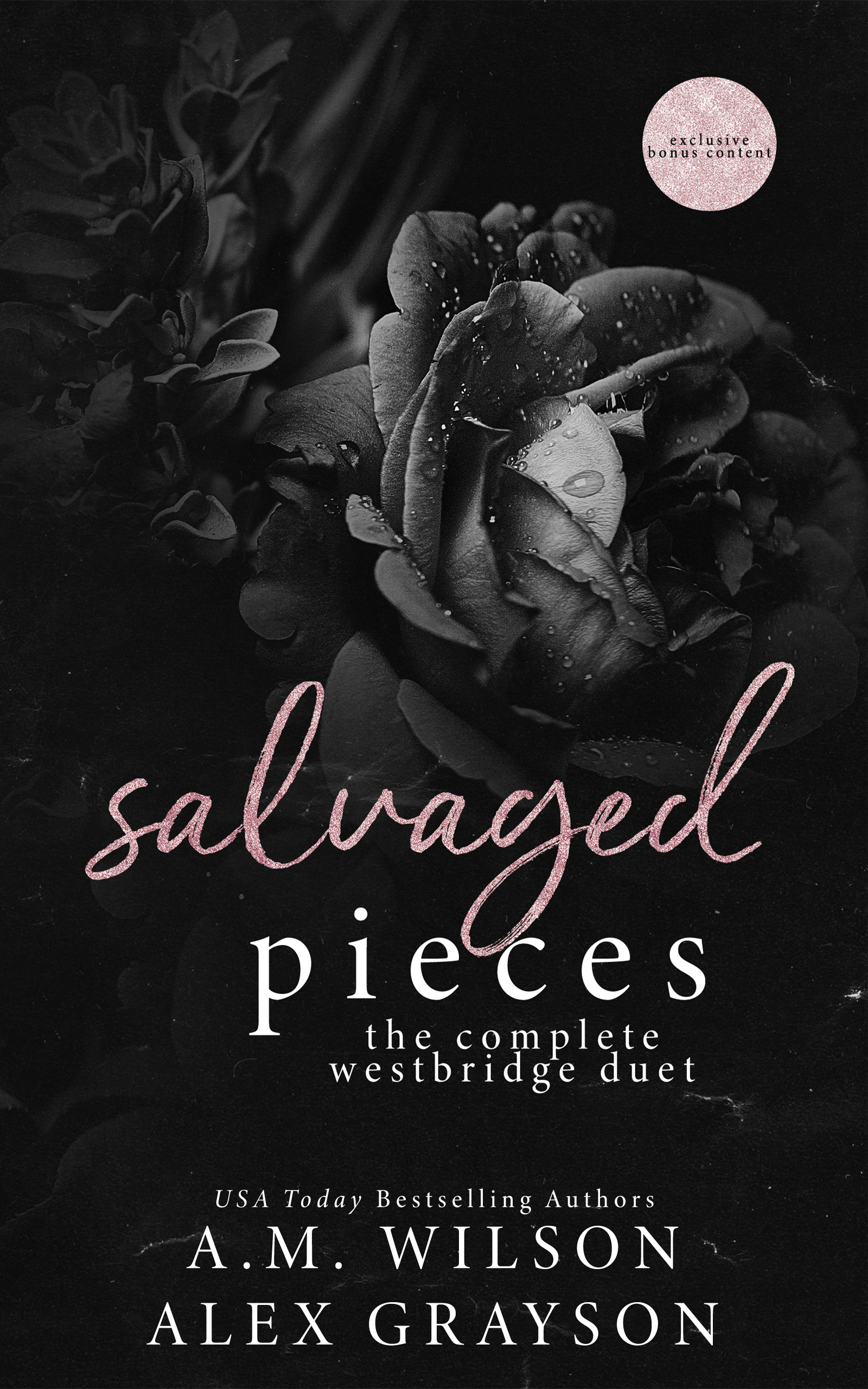 Salvaged Pieces book cover