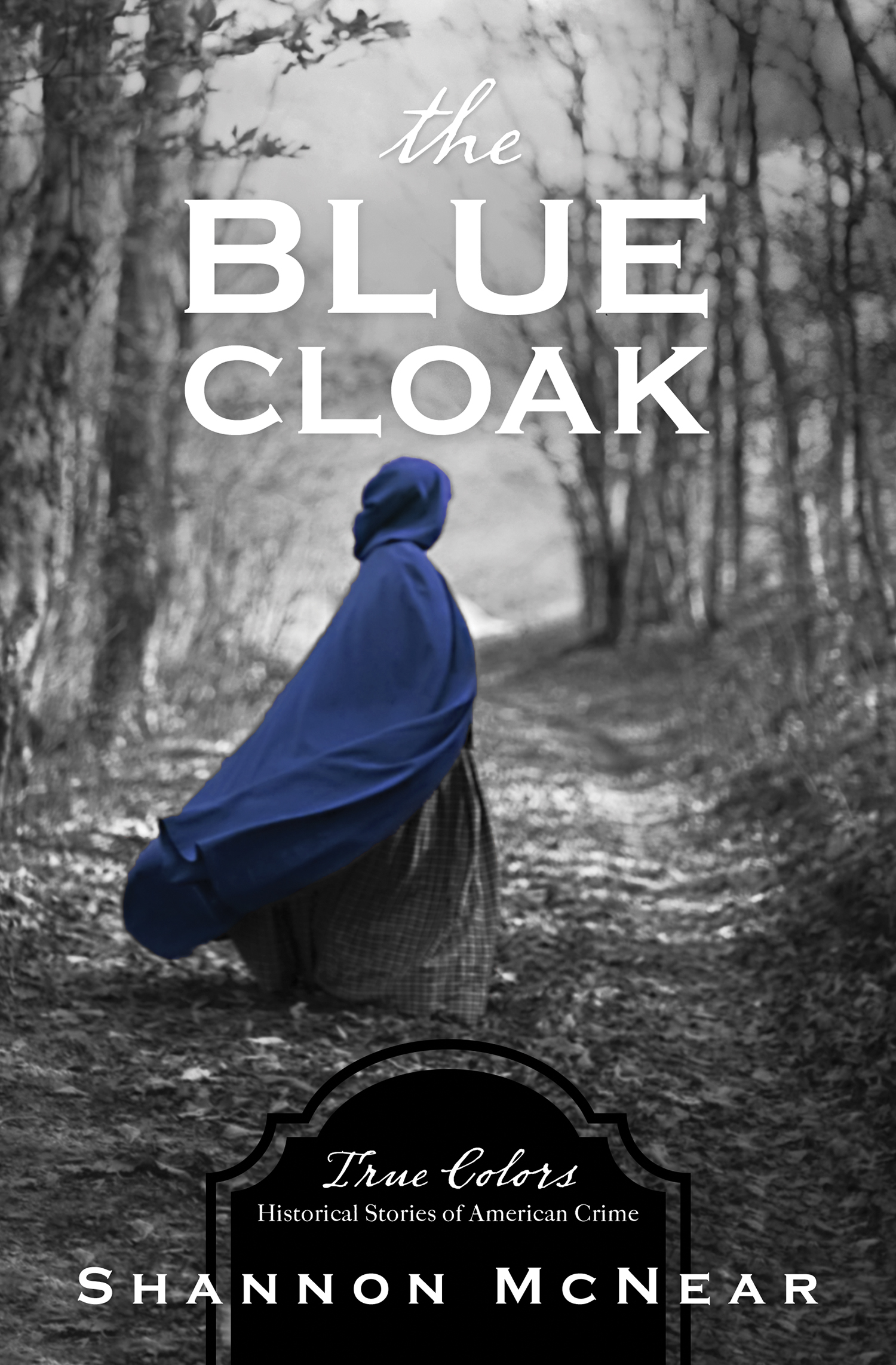 The Blue Cloak book cover