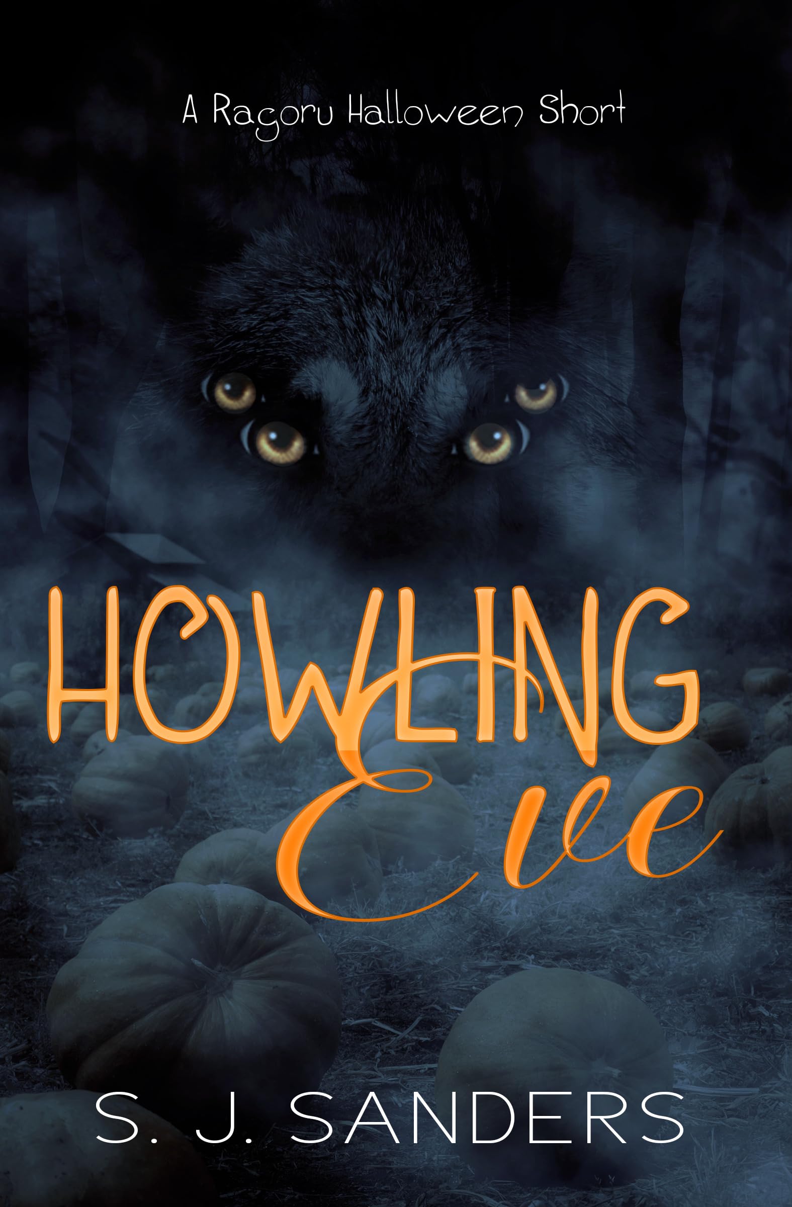 Ragoru Beginnings book cover 3
