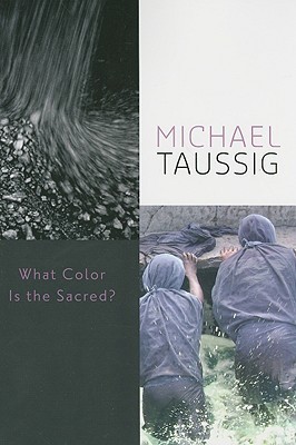 What Color Is the Sacred? book cover
