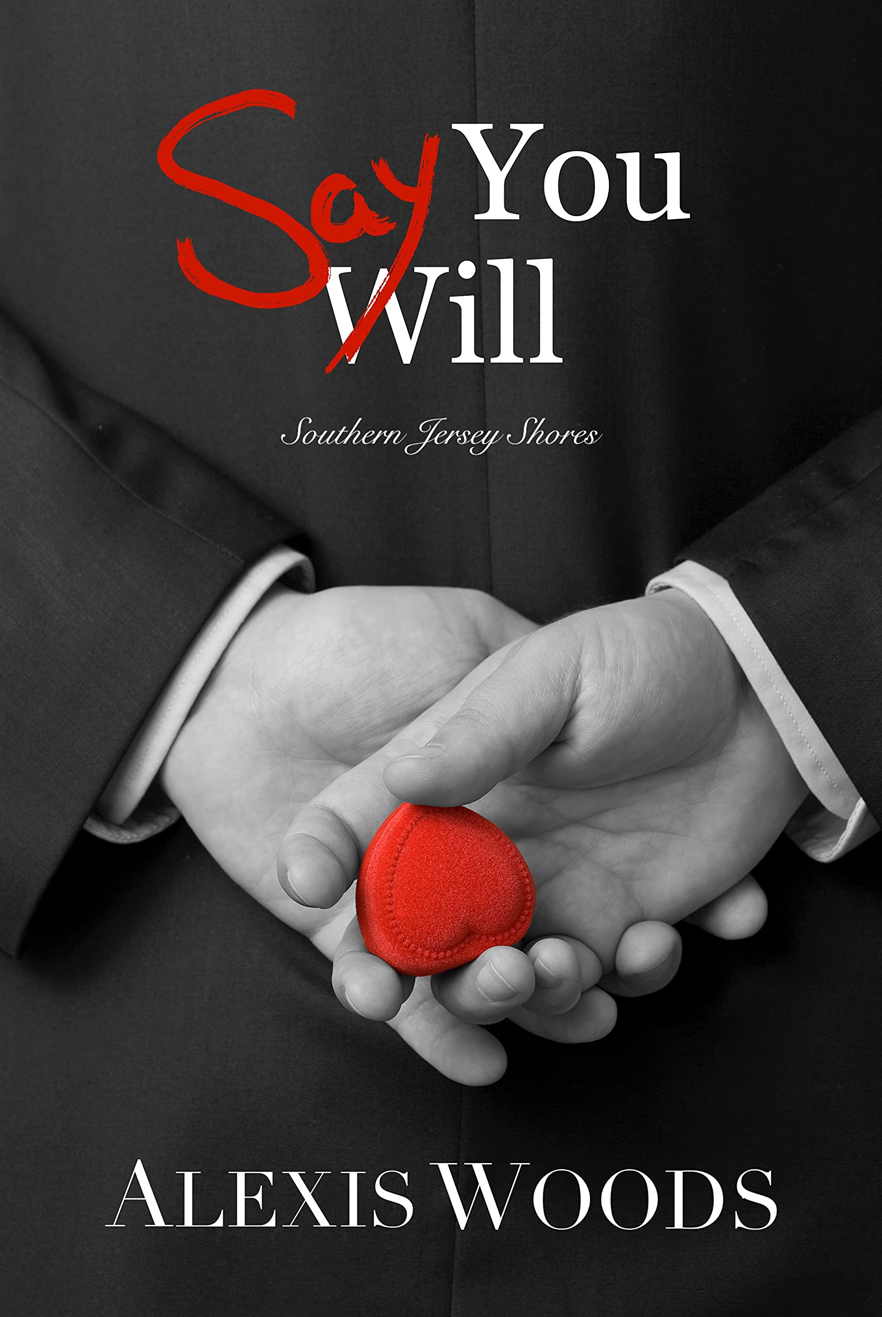 Say You Will book cover