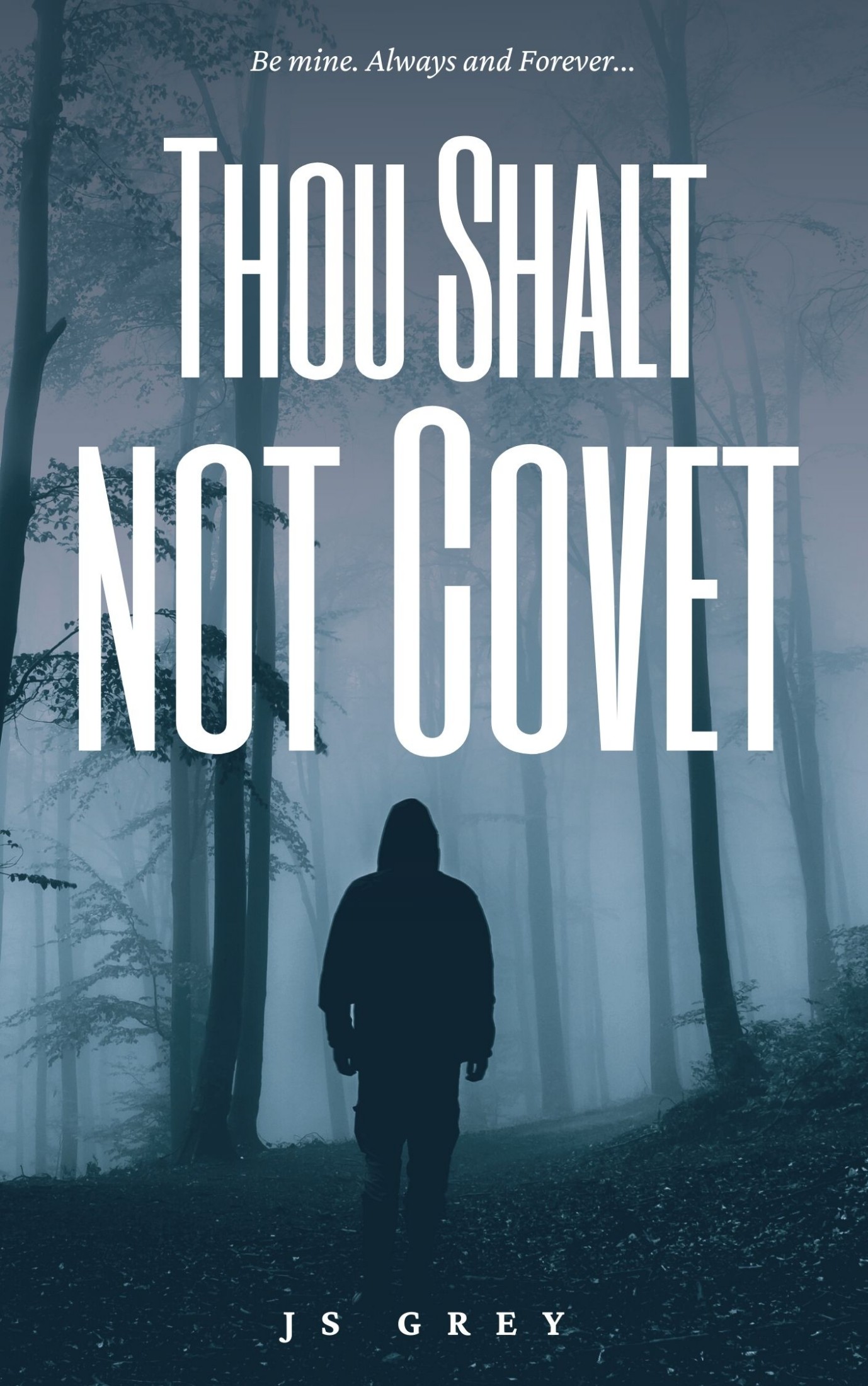 Thou shalt not covet book cover
