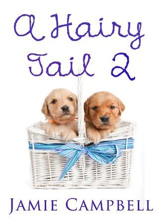 A Hairy Tail book cover 2