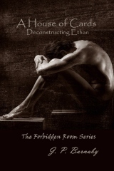 The Forbidden Room book cover 2