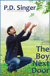 The Boy Next Door book cover