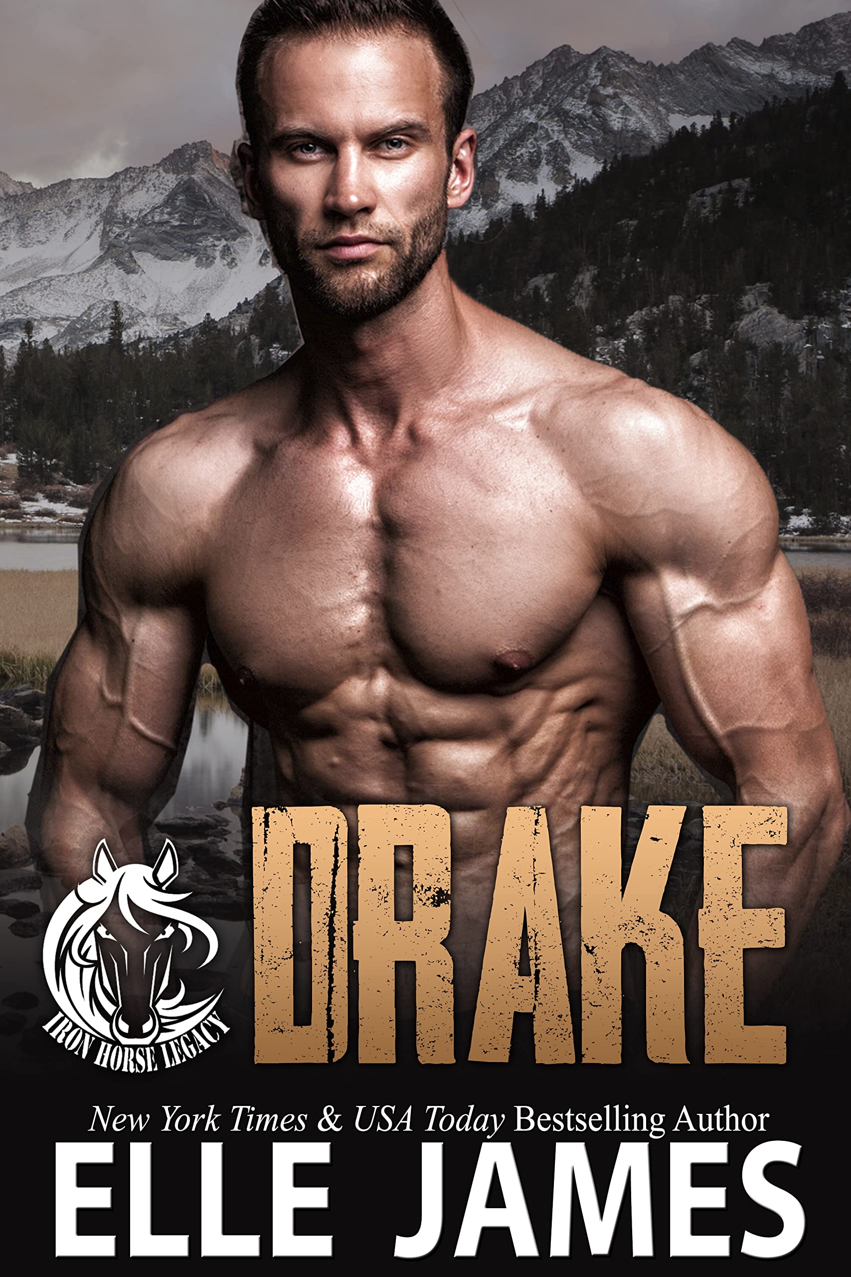 Drake book cover