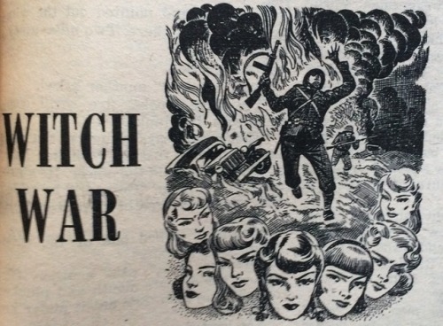 Witch War book cover