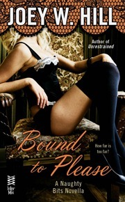 Naughty Bits book cover 3