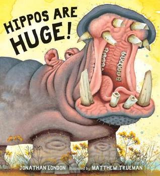 Hippos Are Huge! book cover