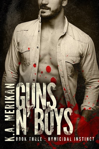 Guns n' Boys book cover 3