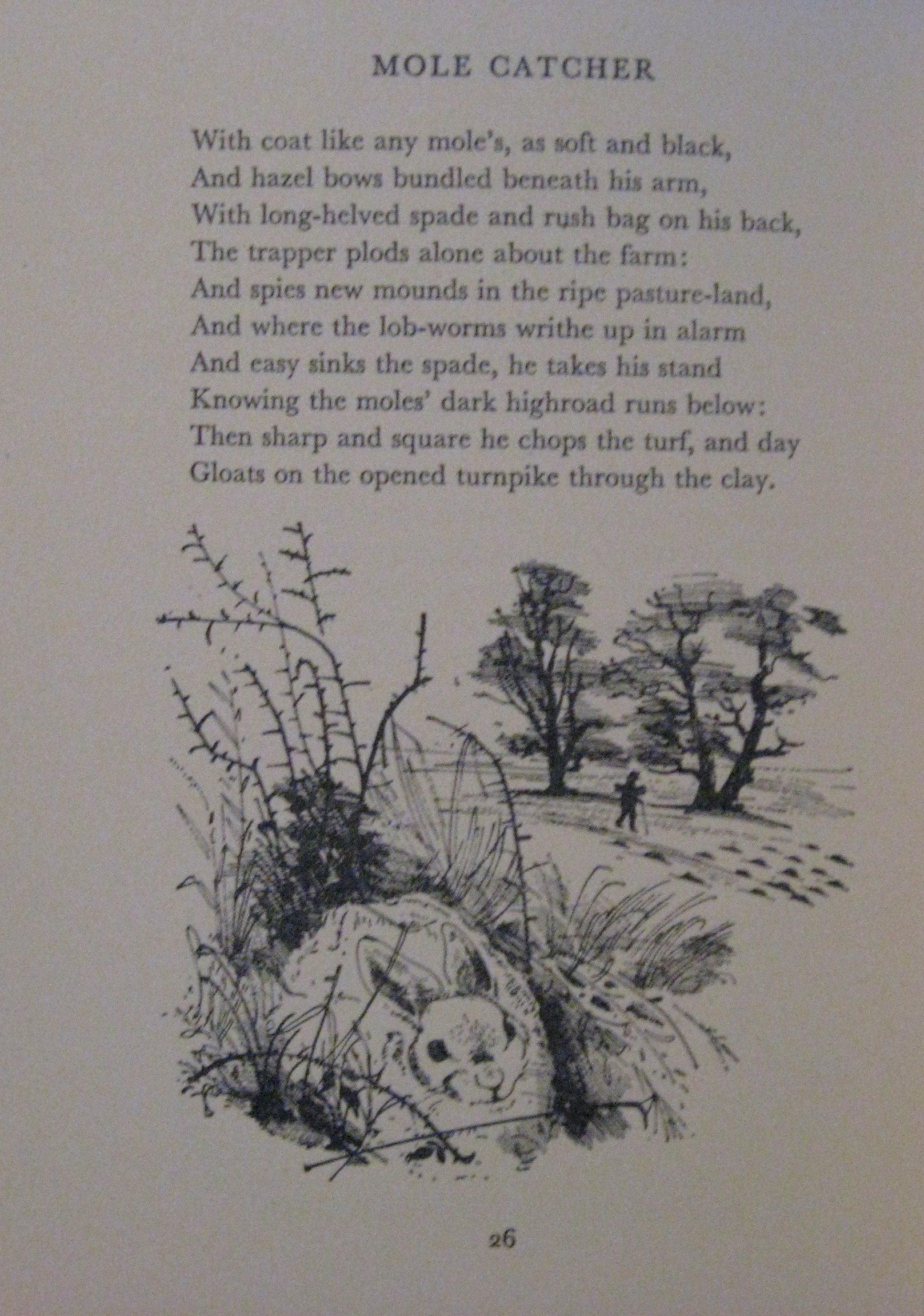 The Midnight Skaters book cover