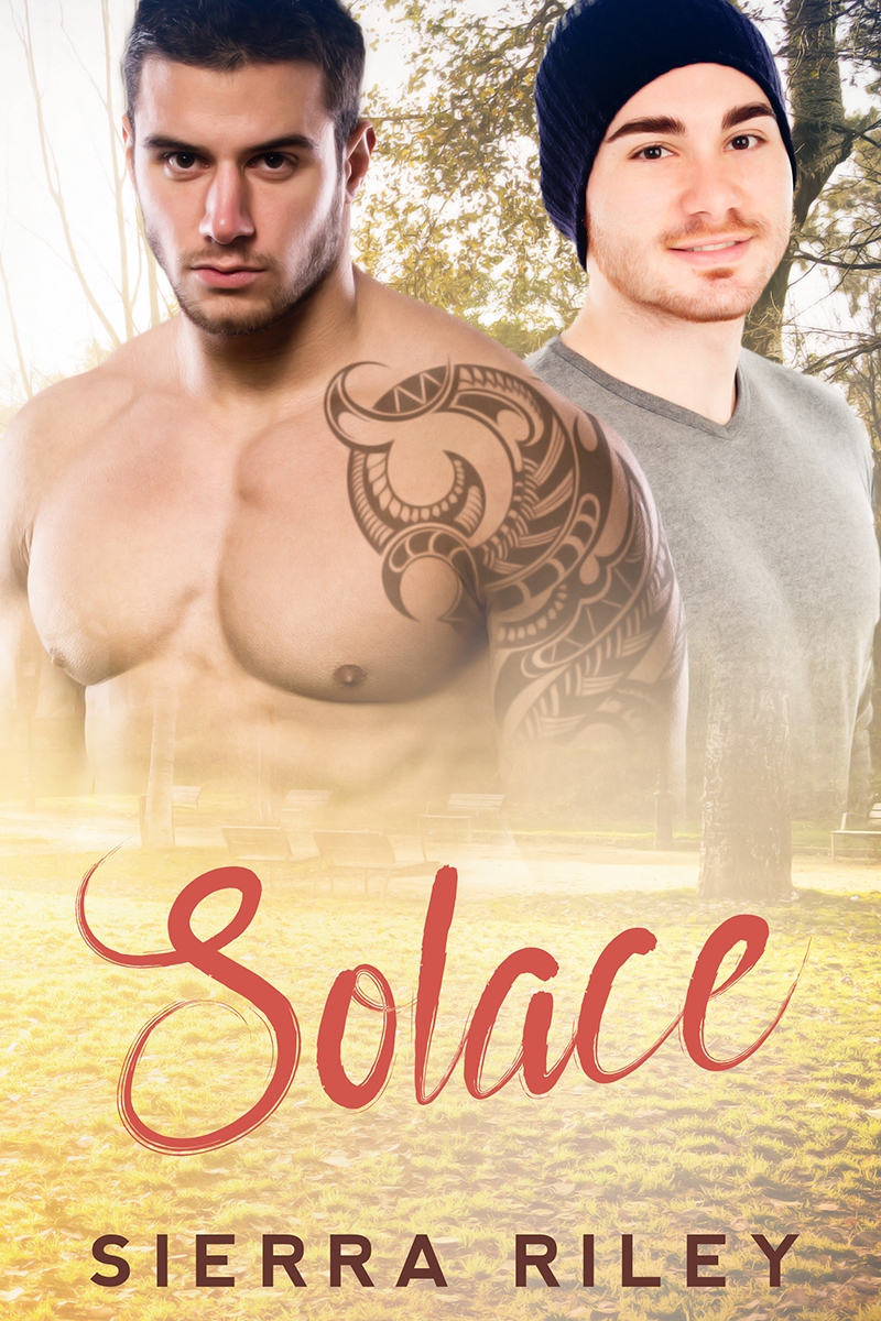 Solace book cover