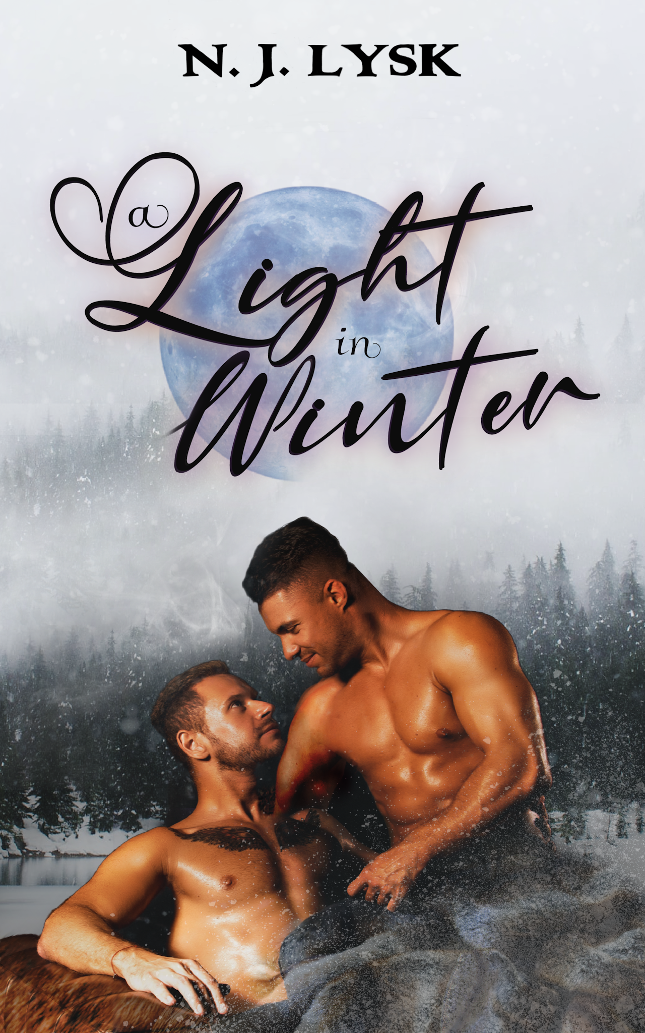 A Light in Winter book cover
