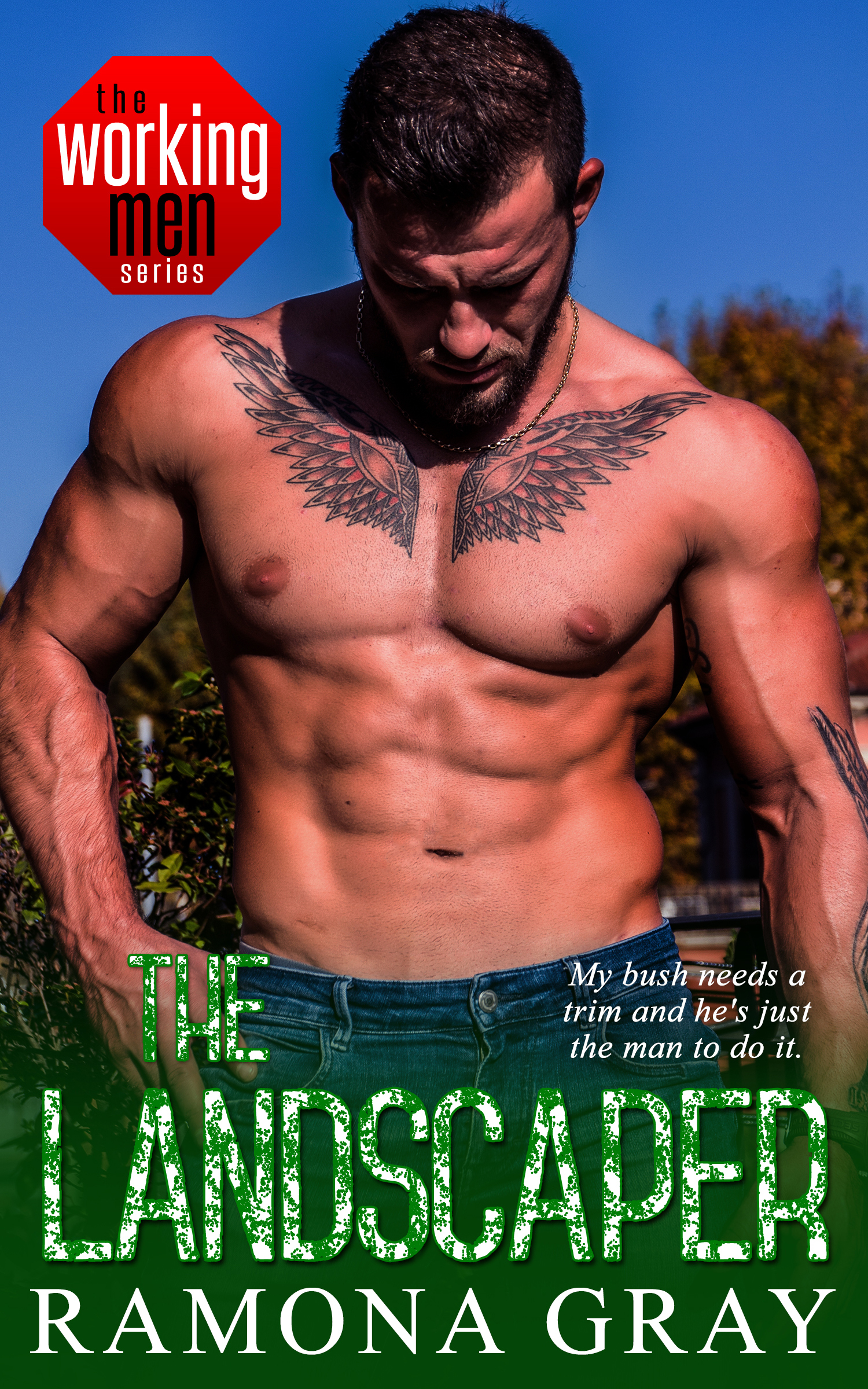 The Landscaper book cover