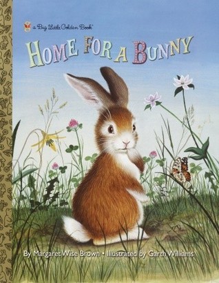 Home for a Bunny book cover
