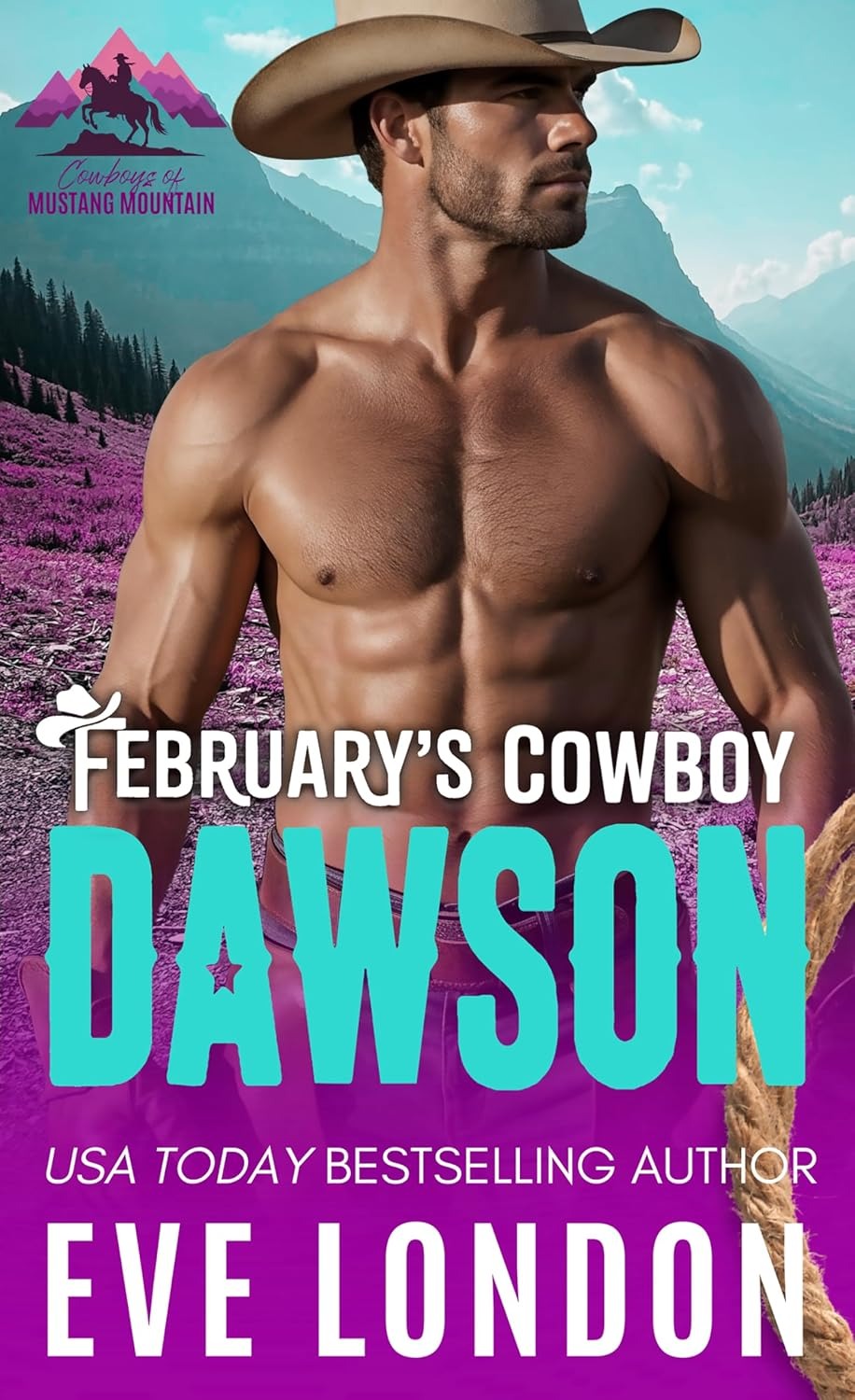 Cowboys of Mustang Mountain book cover 2