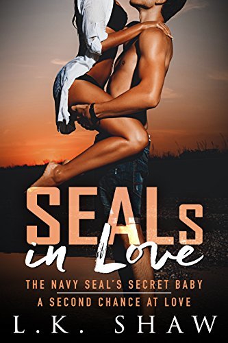 SEALs in Love book cover