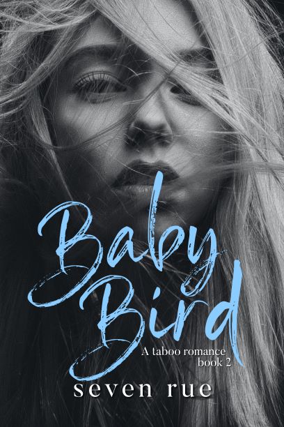 Baby Bird book cover