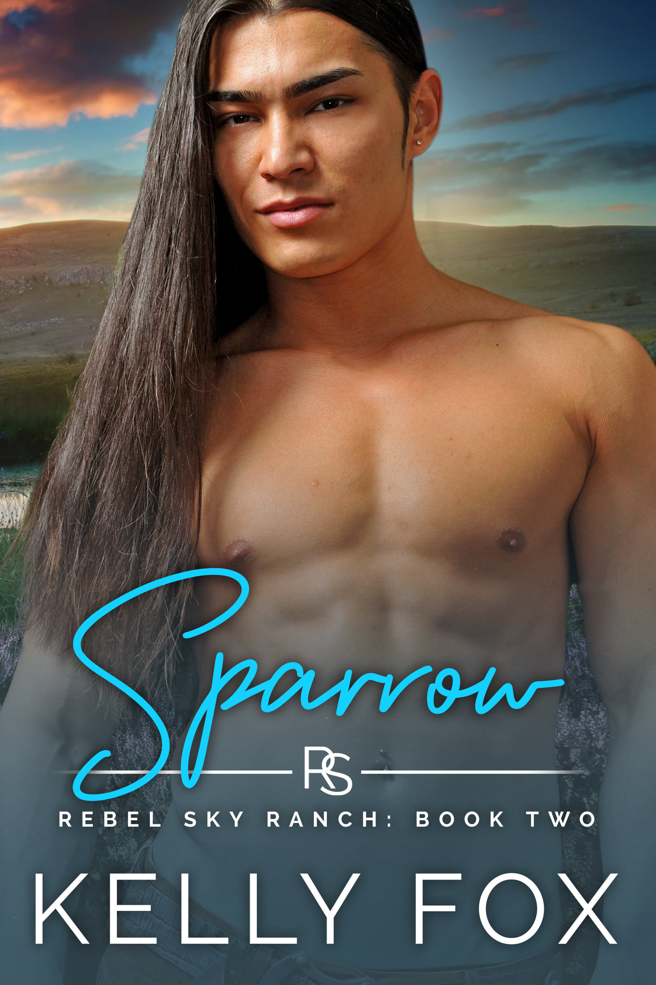 Rebel Sky Ranch book cover 1