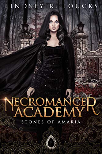 Stones of Amaria book cover 1